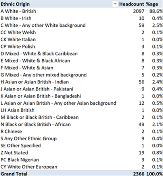 Headcount by ethnicity